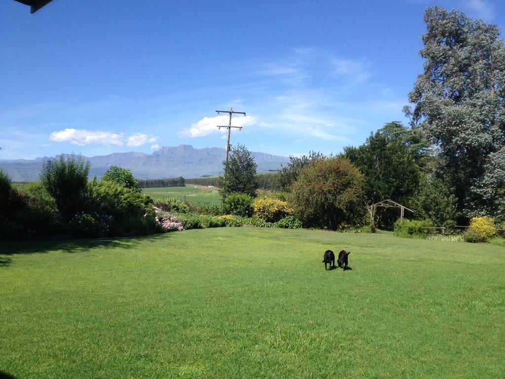 Little Acres Drakensberg Accommodation Champagne Valley Eksteriør billede