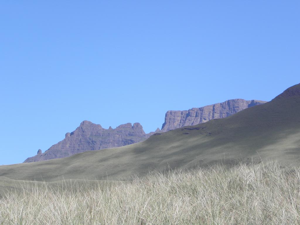 Little Acres Drakensberg Accommodation Champagne Valley Eksteriør billede