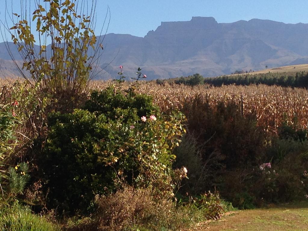 Little Acres Drakensberg Accommodation Champagne Valley Eksteriør billede